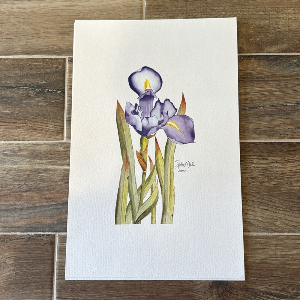 Chicago WGN’s Spike O’Dell - Purple Iris Watercolor Print - 2002 - Picture 2 of 5